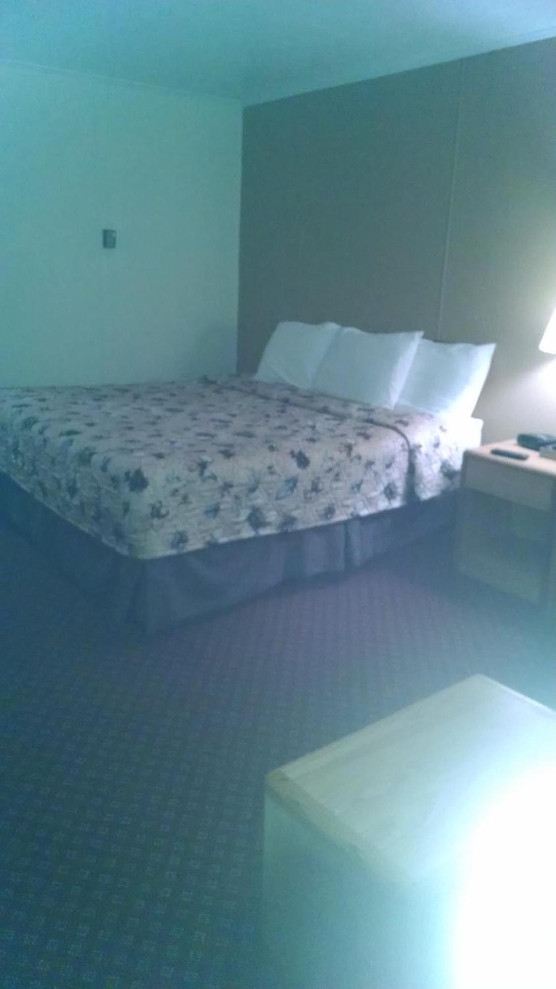 Red Carpet Inn & Suites Ebensburg Værelse billede